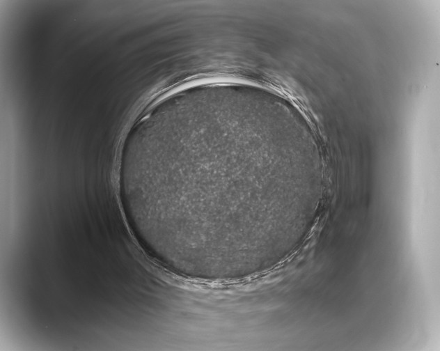 X0000089760003200706211552