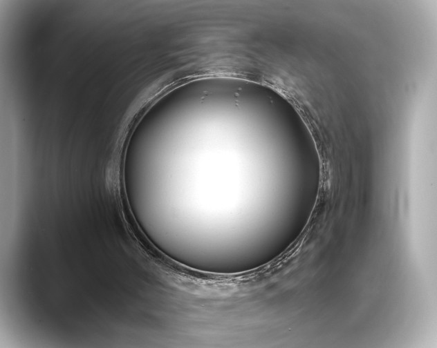 X0000089760004200706211552