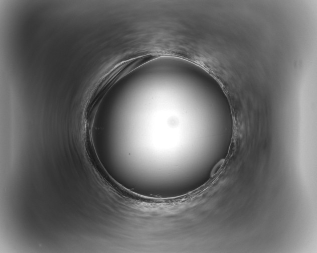 X0000089760005200706211552