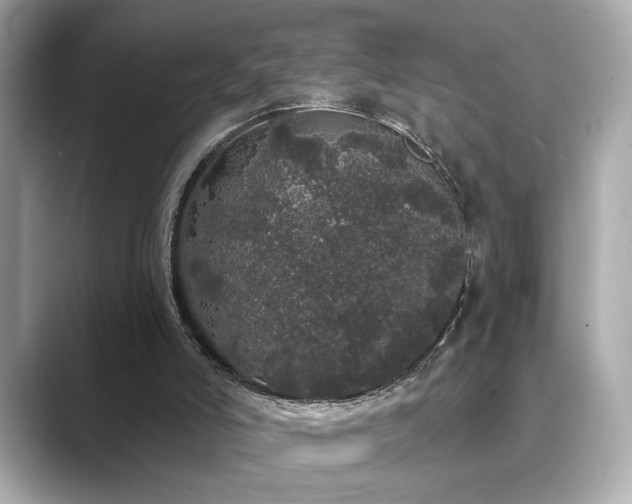 X0000089760006200706211552