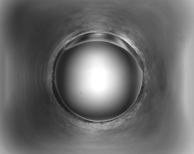 X0000089760007200706211552