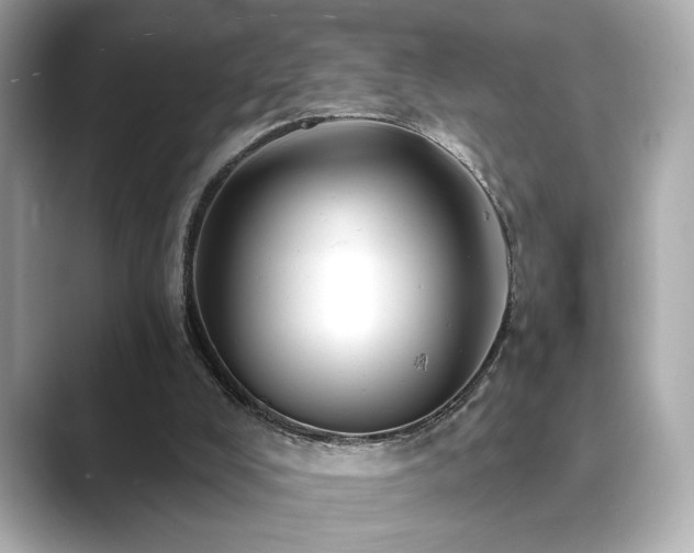 X0000089760008200706211552