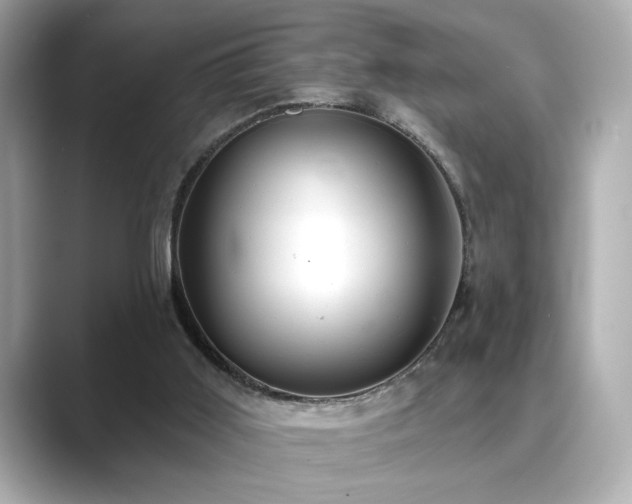 X0000089760011200706211551