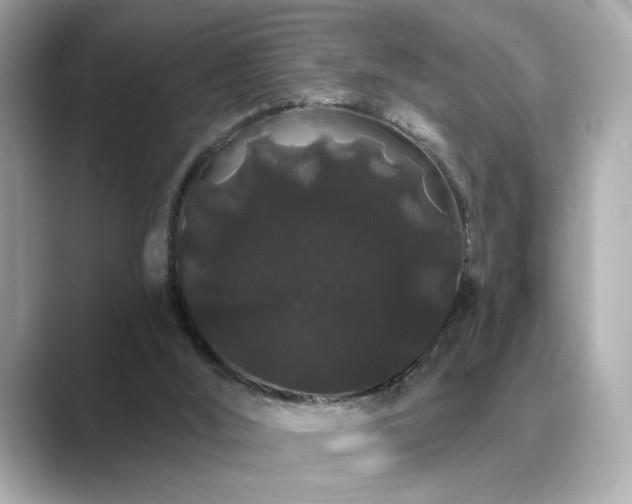 X0000089760012200706211551