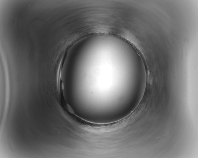 X0000089760013200706211551