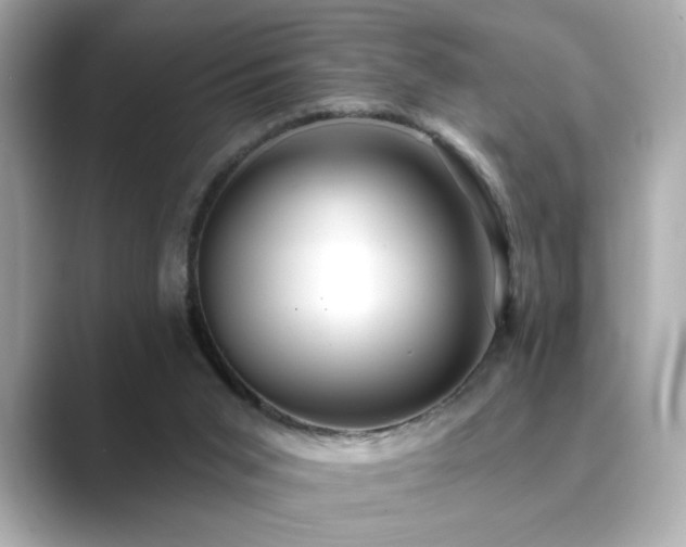 X0000089760015200706211551