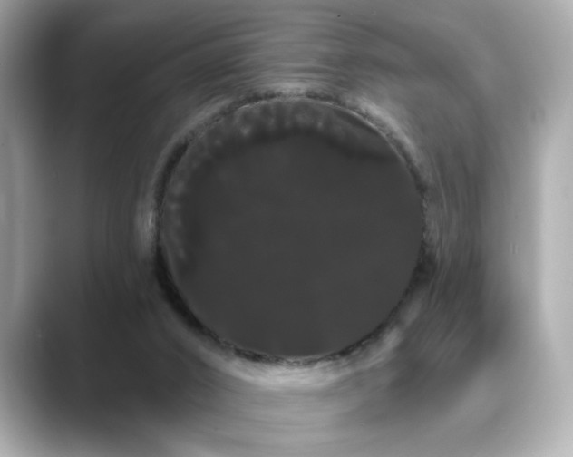 X0000089760016200706211551