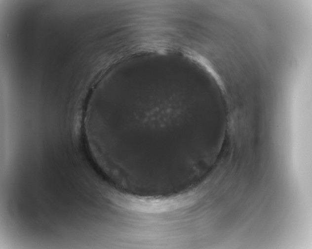 X0000089760018200706211551