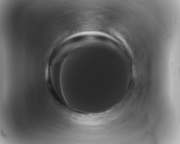 X0000089760019200706211551