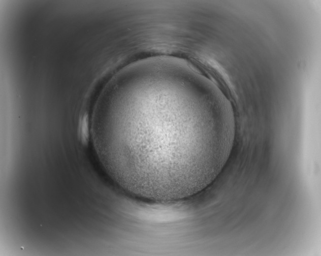X0000089760020200706211551