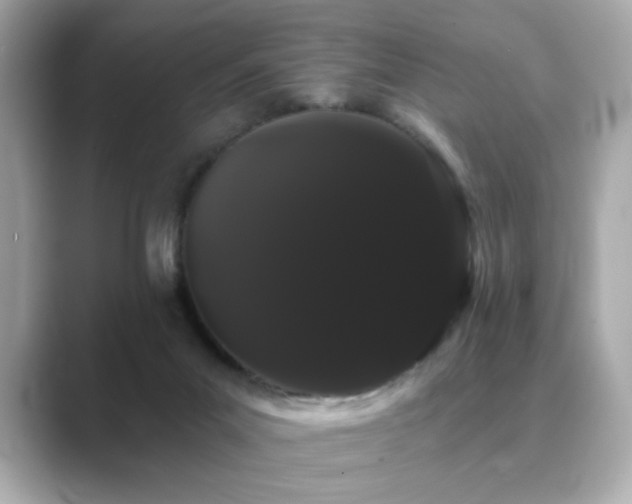 X0000089760023200706211551