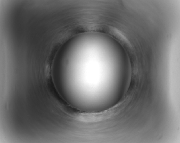X0000089760025200706211551
