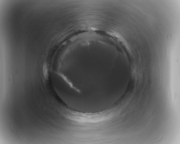 X0000089760026200706211551