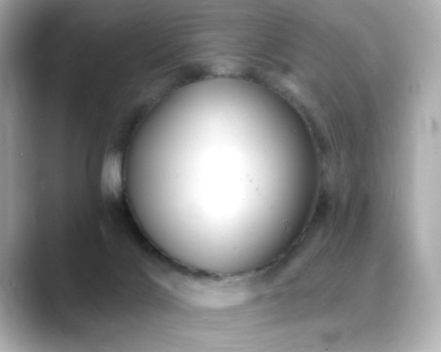 X0000089760028200706211551
