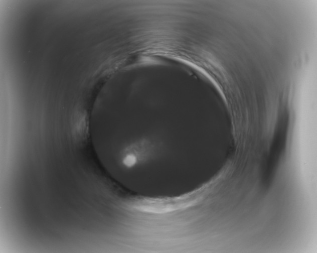 X0000089760029200706211551