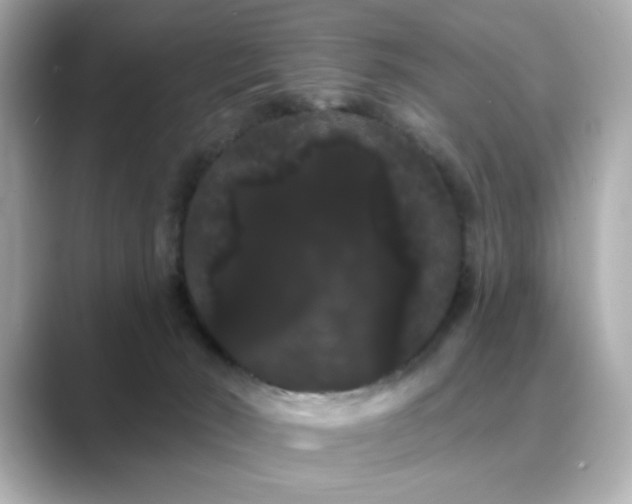X0000089760030200706211551