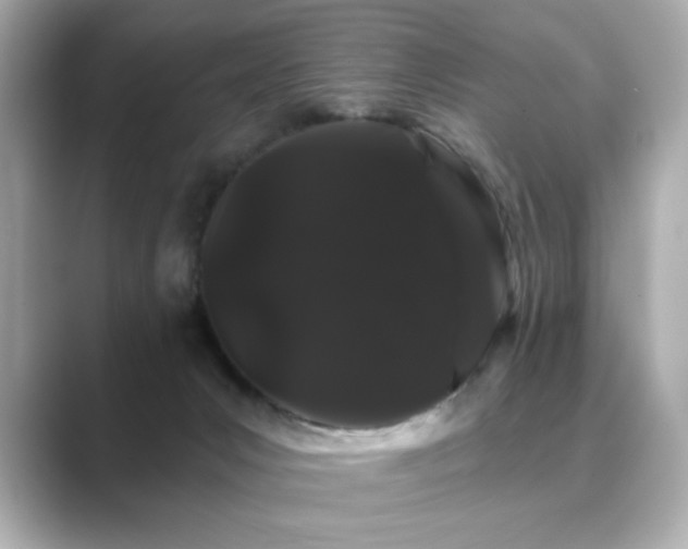 X0000089760031200706211551