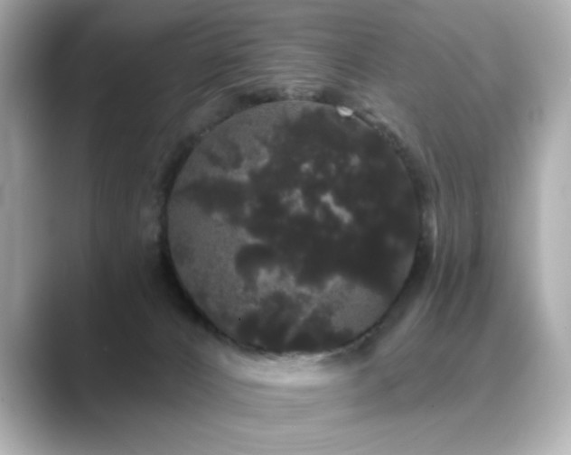 X0000089760032200706211551
