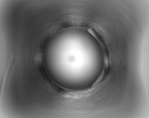X0000089760033200706211551