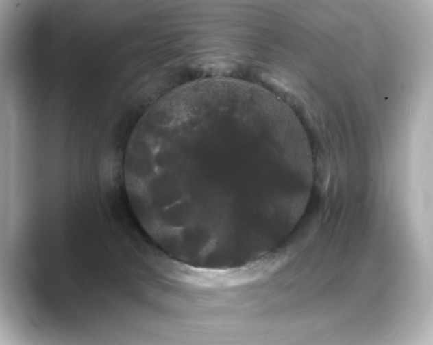 X0000089760034200706211551