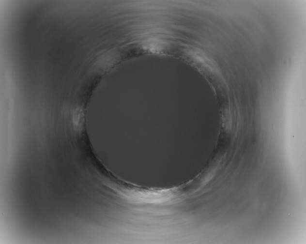 X0000089760036200706211551