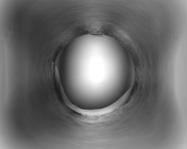 X0000089760037200706211551