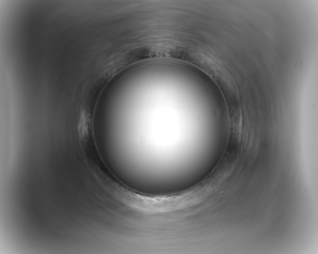 X0000089760038200706211551
