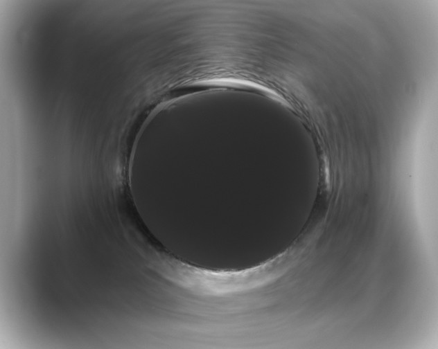 X0000089760039200706211551