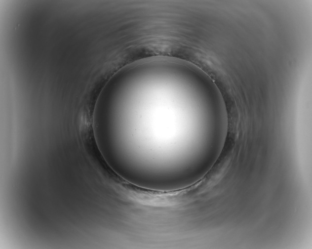 X0000089760040200706211551