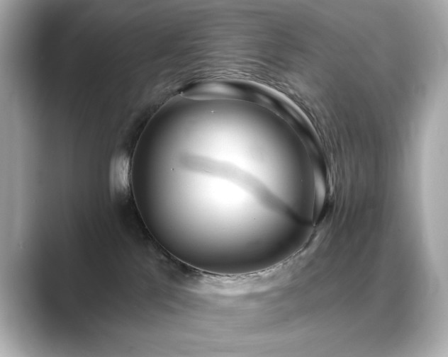 X0000089760041200706211551