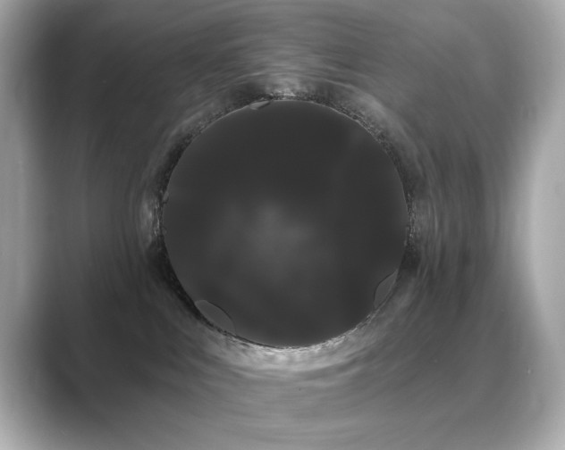 X0000089760043200706211551