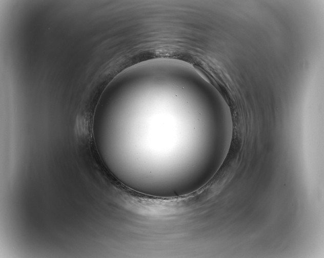 X0000089760044200706211551