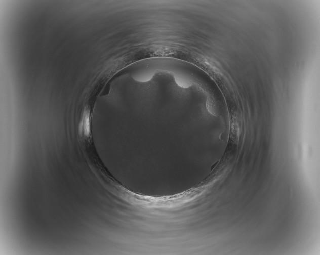 X0000089760046200706211551