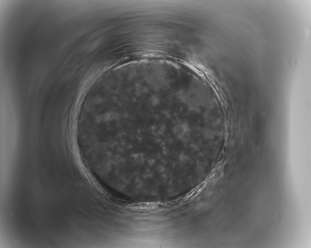 X0000089760049200706211551