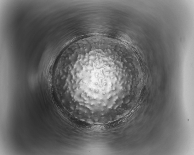 X0000089760050200706211551