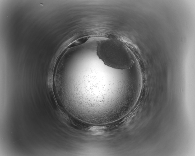 X0000089760051200706211551