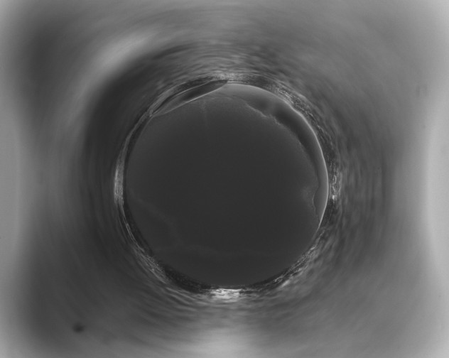 X0000089760052200706211551