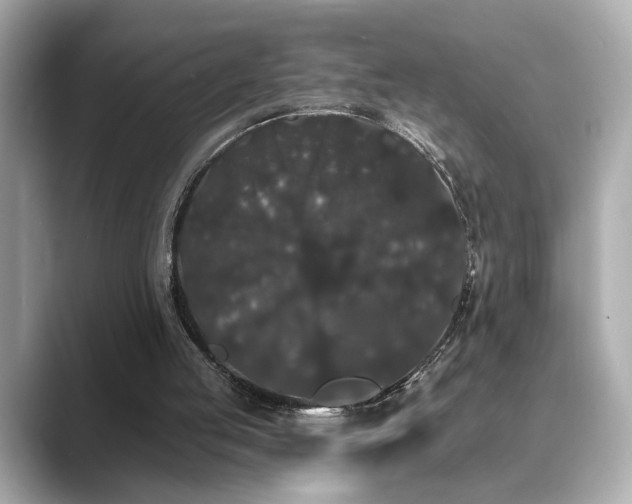 X0000089760053200706211551