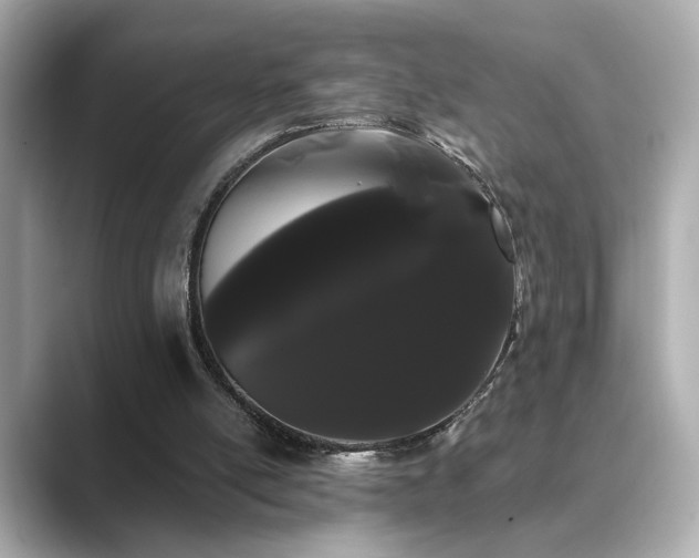 X0000089760054200706211551