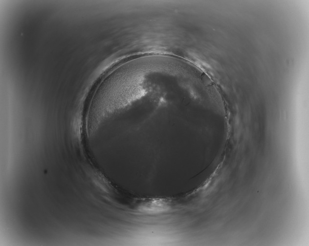 X0000089760056200706211551