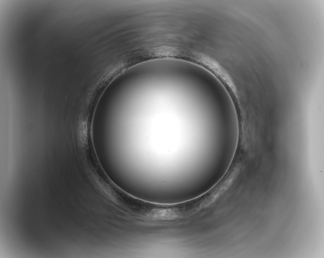 X0000089760057200706211551