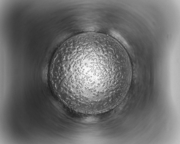 X0000089760058200706211551