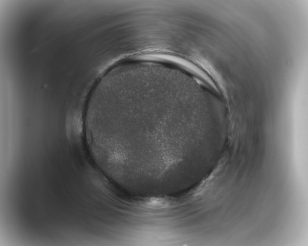 X0000089760060200706211551