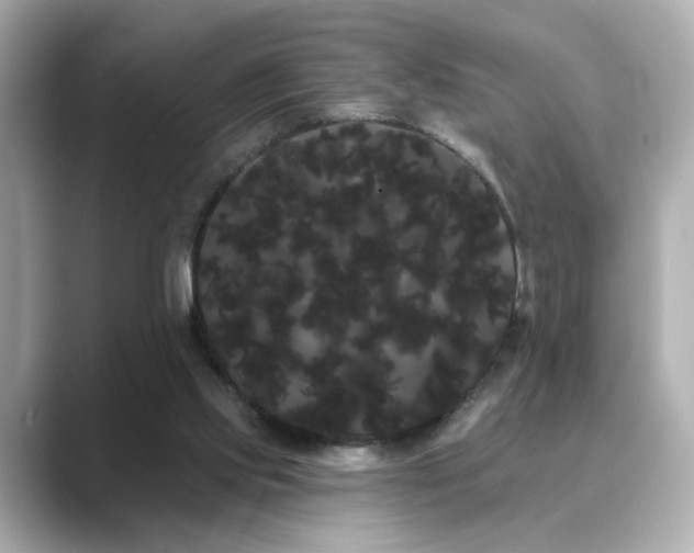 X0000089760061200706211551
