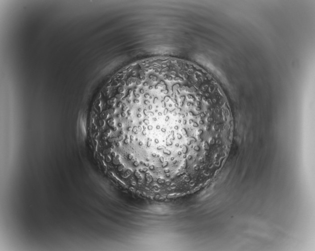 X0000089760062200706211551