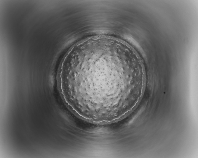 X0000089760063200706211551