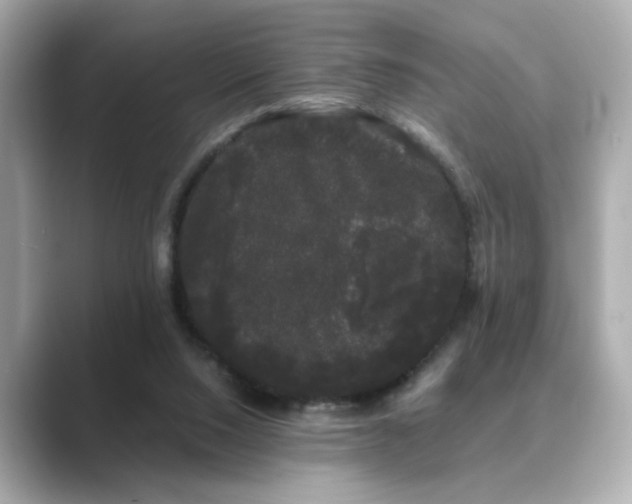 X0000089760064200706211551