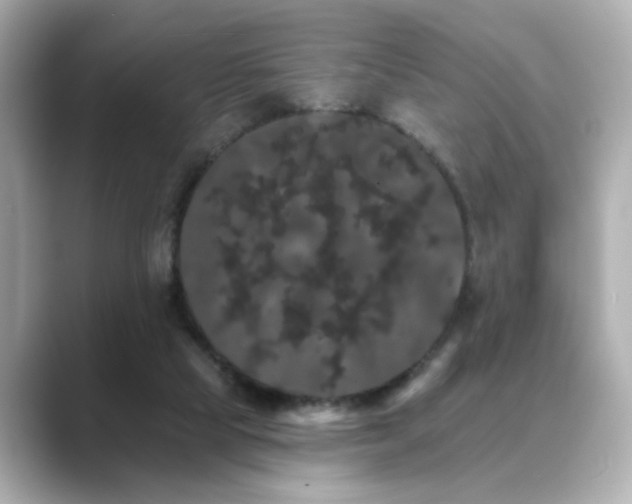 X0000089760065200706211551