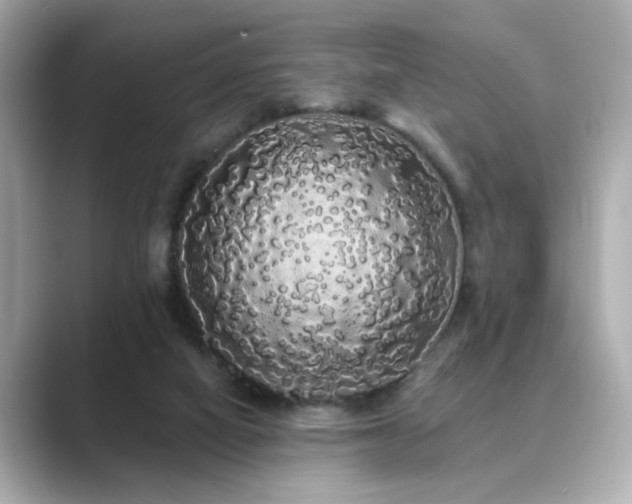 X0000089760066200706211551