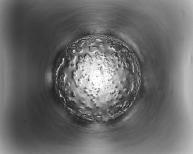 X0000089760067200706211551